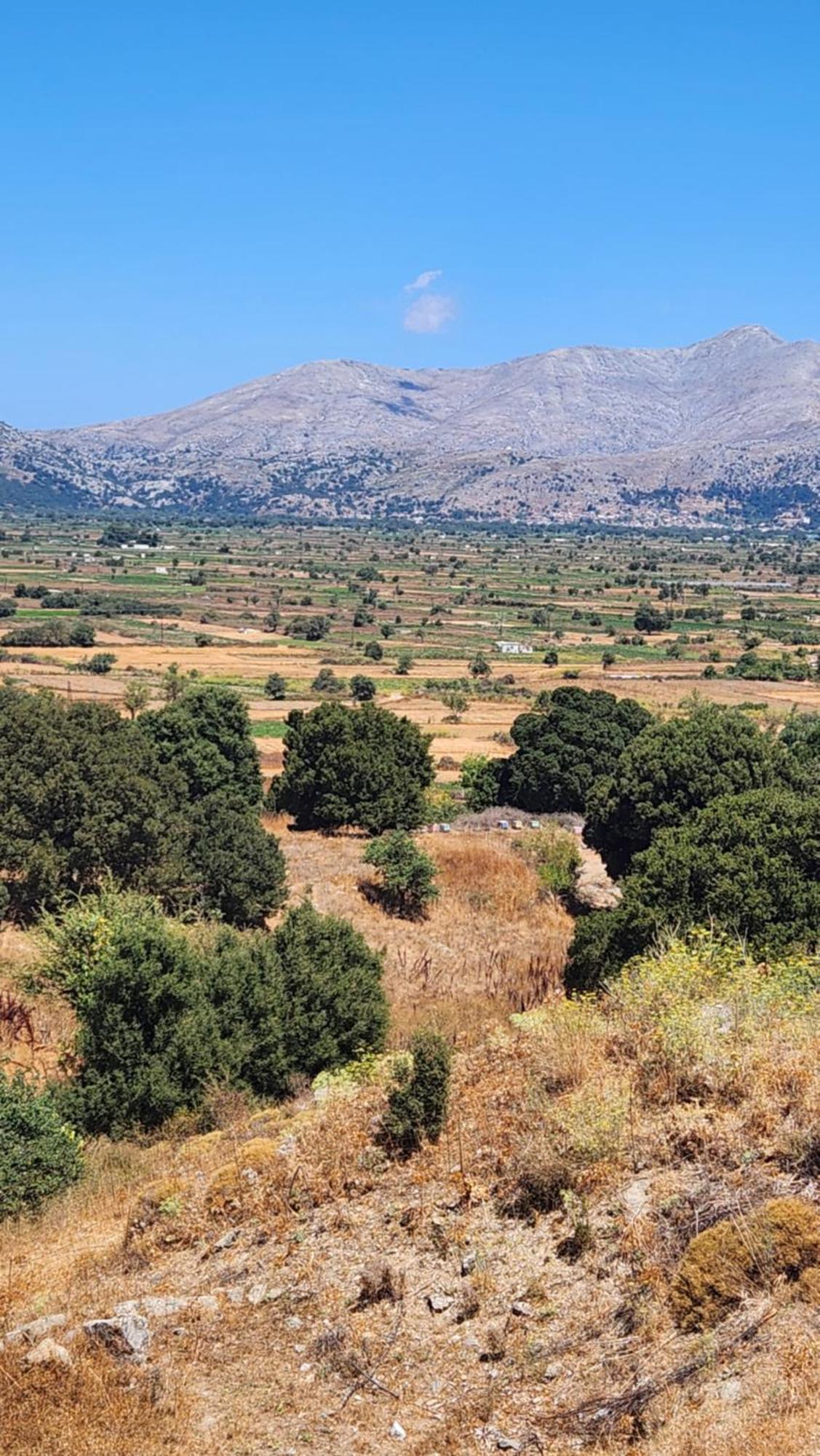 Dionysus Lasithi Plateau Magoulás 외부 사진